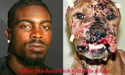 michael-vick-and-dogfighting.jpg